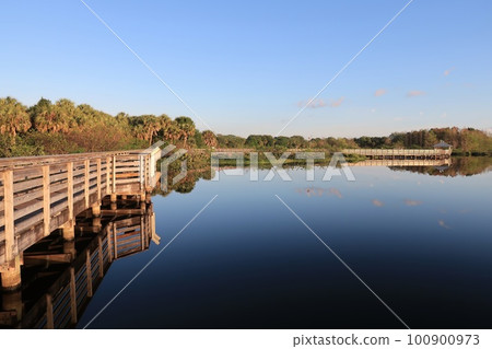 Elevated boardwalk at Green Cay Nature Center Wetlands in Boynton Beach. Elevated boardwalk at Green Cay Nature Center Wetlands in Boynton Beach. 100900973