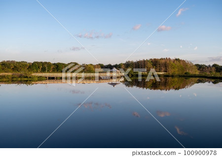Elevated boardwalk at Green Cay Nature Center Wetlands in Boynton Beach. Elevated boardwalk at Green Cay Nature Center Wetlands in Boynton Beach. 100900978