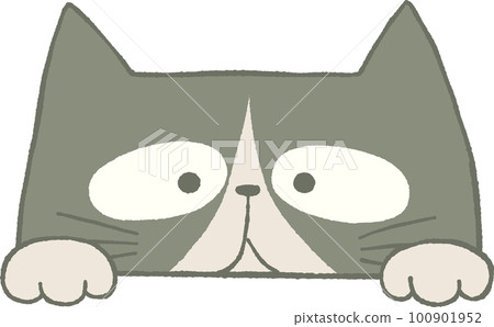 Illustration of a cute cat peeking Illustration of a cute cat peeking 100901952