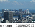 從東京塔看到的彩虹橋 100902513