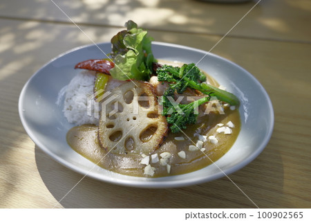 在露台上吃的五顏六色的蔬菜咖哩雞 在露台上吃的五顏六色的蔬菜咖哩雞 100902565