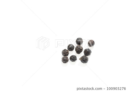 黑胡椒孔白底紋 100903276