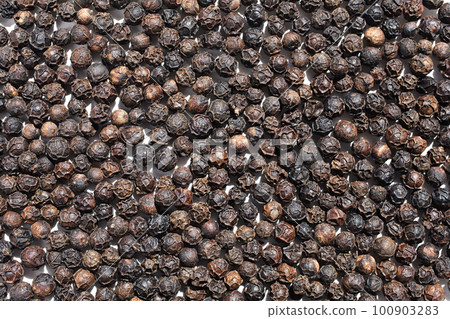 黑胡椒孔紋理 100903283