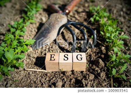 Image of ESG 100903541