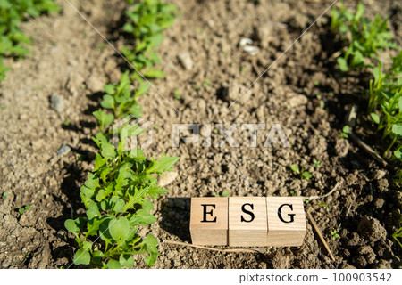 Image of ESG Image of ESG 100903542