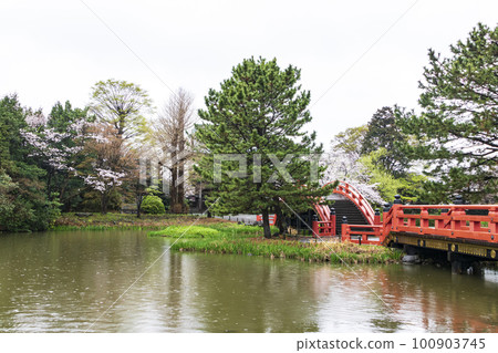 Scenery with cherry blossoms (Kanagawa Prefecture, Yokohama City, Kanazawa Ward, Shomyoji Temple) 100903745