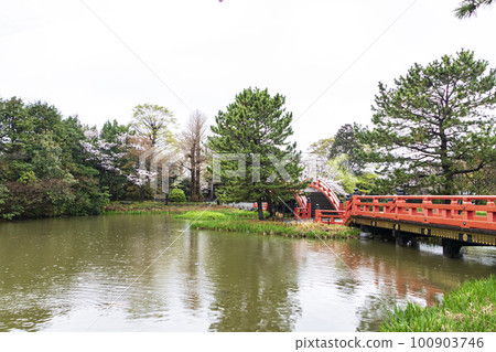 Scenery with cherry blossoms (Kanagawa Prefecture, Yokohama City, Kanazawa Ward, Shomyoji Temple) 100903746