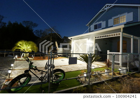 有棕櫚樹的美國車庫房子 有棕櫚樹的美國車庫房子 100904241