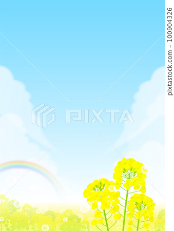 Rapeseed field, rainbow and blue sky landscape 100904326