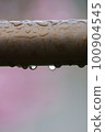 陰雨天氣，雨滴從金屬欄杆滴落 100904545