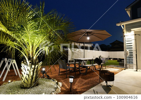 有棕櫚樹的美國車庫房子 100904616