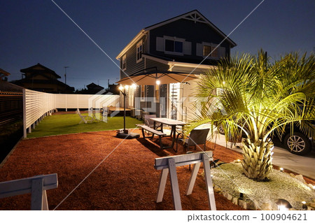 有棕櫚樹的美國車庫房子 有棕櫚樹的美國車庫房子 100904621