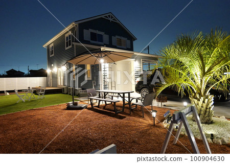 有棕櫚樹的美國車庫房子 100904630