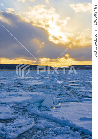 [Drift ice sightseeing] Abashiri 100905468