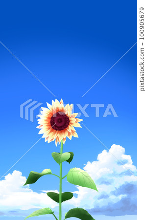 大雷頭和一朵向日葵，大藍天背景，有差異的垂直插圖素材 100905679