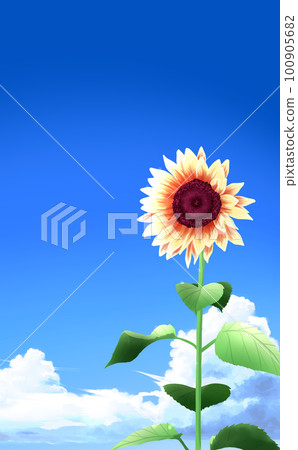 Large thunderhead and one sunflower Right end Blue sky background Vertical illustration material There is a difference Large thunderhead and one sunflower Right end Blue sky background Vertical illustration material There is a difference 100905682