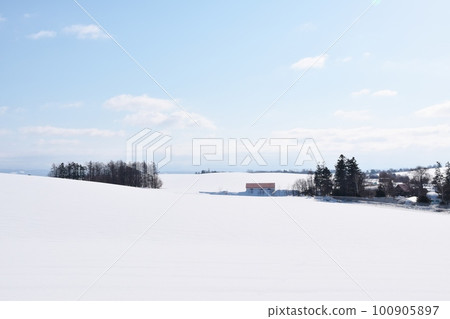 Hills with red roofs in Biei in winter, Hokkaido Hills with red roofs in Biei in winter, Hokkaido 100905897
