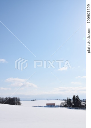 北海道冬季美瑛紅色屋頂的山丘 北海道冬季美瑛紅色屋頂的山丘 100905899