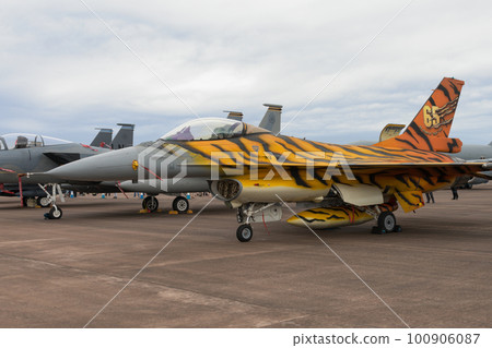 比利時空軍F-16MLU虎紋 比利時空軍F-16MLU虎紋 100906087