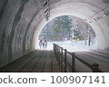 Through the tunnel into the snow 100907141