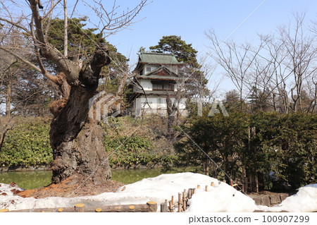 青森縣弘前市重要文化財產辰巳城青天弘前城 青森縣弘前市重要文化財產辰巳城青天弘前城 100907299