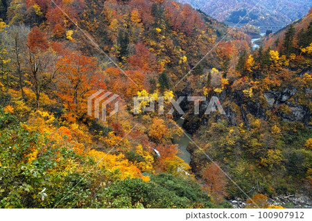 秋天稻田 秋天稻田 100907912