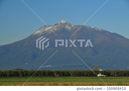 The first snow falls lightly on Mt. Iwaki during the apple harvest. The first snow falls lightly on Mt. Iwaki during the apple harvest. 100908418