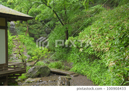Ame no Sankeien Shinryoku 100908433