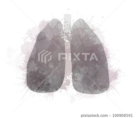 Vector watercolor illustration of diseased lungs with splashes. Smoky respiratory system with dye sprays. Silhouette gray from smoke ill lungs 100908591