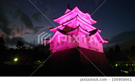 Illuminated Oshi Castle (Gyoda City, Saitama Prefecture) 100908661
