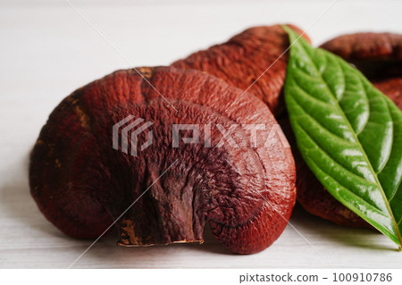 Lingzhi or Reishi mushroom with capsules, organic natural healthy food. Lingzhi or Reishi mushroom with capsules, organic natural healthy food. 100910786