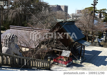初春的盛岡八幡宮 初春的盛岡八幡宮 100911290