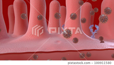 Once inside the cell, the virus is released from the outer membrane from the cell surface. Once inside the cell, the virus is released from the outer membrane from the cell surface. 100911580