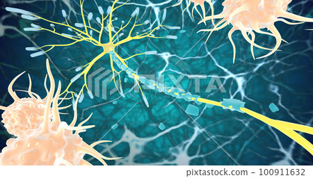 Remyelination is the phenomenon by which new myelin sheaths are generated around axons in the adult central nervous system 100911632
