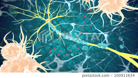 Remyelination is the phenomenon by which new myelin sheaths are generated around axons in the adult central nervous system Remyelination is the phenomenon by which new myelin sheaths are generated around axons in the adult central nervous system 100911634