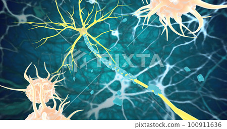 Remyelination is the phenomenon by which new myelin sheaths are generated around axons in the adult central nervous system Remyelination is the phenomenon by which new myelin sheaths are generated around axons in the adult central nervous system 100911636