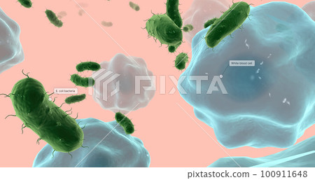 Urinary tract infections are bacterial infections that affect part of the urinary tract. Urinary tract infections are bacterial infections that affect part of the urinary tract. 100911648