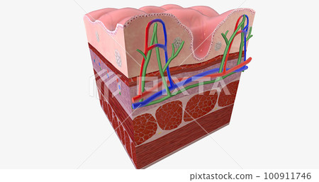 Celiac Disease is a chronic condition characterized an inflammatory allergic response of the digestive tract to Gluten. Celiac Disease is a chronic condition characterized an inflammatory allergic response of the digestive tract to Gluten. 100911746