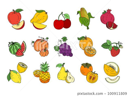 Exotic fruit set doodle Vector color illustration isolated on white background Exotic fruit set doodle Vector color illustration isolated on white background 100911809