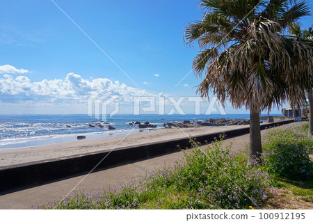外房和田浦海水浴場房總半島春海【千葉縣南房總市】 100912195