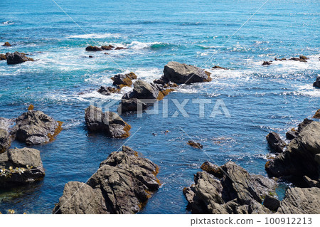 南房總：和田浦海岸的礁石區【千葉縣南房總市】 100912213