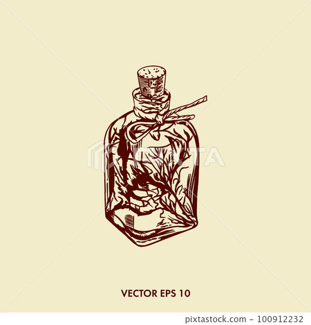 Herbs set, ginseng. Glass bottle with tincture. Vector vintage illustration. 100912232