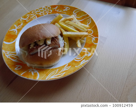 hamburger and fries on plate hamburger and fries on plate 100912459