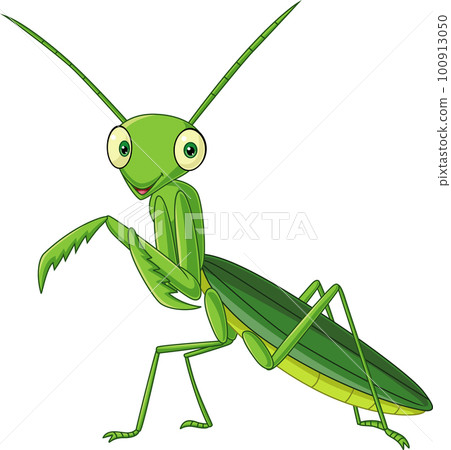 Cartoon green mantis on white background Cartoon green mantis on white background 100913050