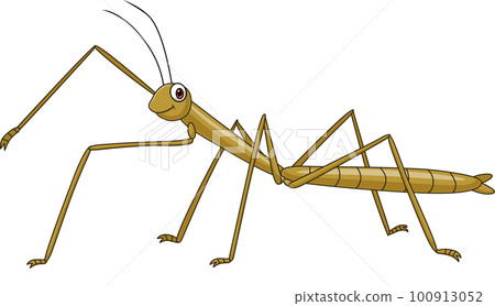 Cartoon stick insect on white background 100913052