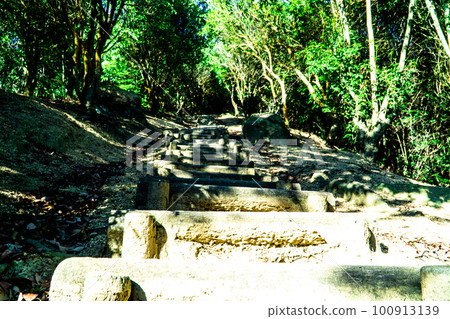 Ojigatake mountain trail from the Kojima side Kurashiki City, Okayama Prefecture 100913139