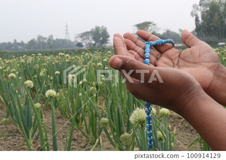 a beads tasbih on hand for pray of onion harvest a beads tasbih on hand for pray of onion harvest 100914129