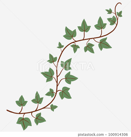 Floral ivy drawing decorative ornament flat design. 100914306