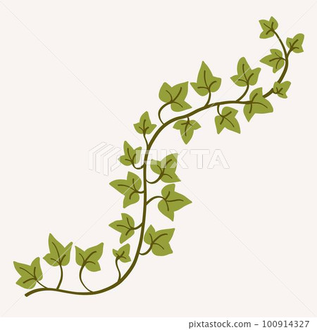 Floral ivy drawing decorative ornament flat design. 100914327