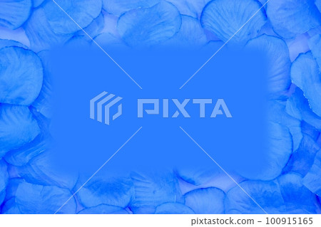 Blue background with blue petals Blue background with blue petals 100915165